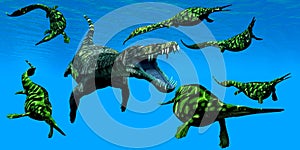 Nothosaurus Marine Reptile