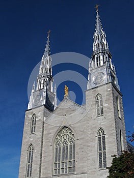 Notre Dame Cathedral Basilica in Ottawa