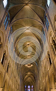 Notre Dame Cathedral Ceiling