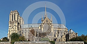 Notre Dame Cathedral in the city of Paris France