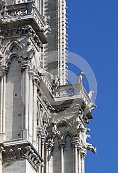 Notre Dame Cathedral Detail