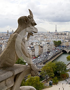 Notre Dame Cathedral Gargoyle over Paris