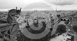 Notre Dame Cathedral Gargoyle over Paris