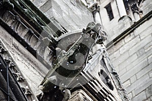 Notre Dame Cathedral Gargoyle in Rain