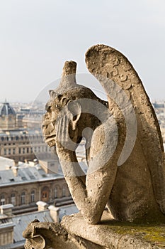 Notre Dame Cathedral, Paris