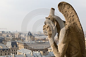 Notre Dame Cathedral, Paris