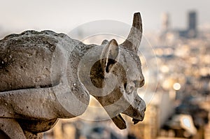 Notre Dame Cathedral, Paris