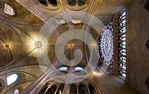 Notre Dame Ceiling