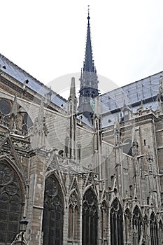 Notre Dame Construction