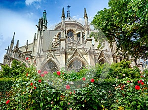 Notre Dame de Paris