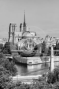 Notre Dame de Paris Cathedral on the Cite Island. Paris, France