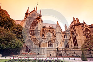 Notre Dame de Paris cathedral, France. Gothic architecture