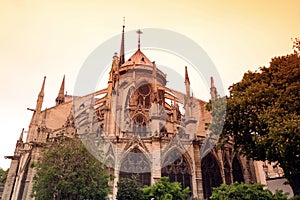 Notre Dame de Paris cathedral, France. Gothic architecture