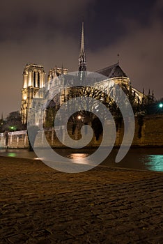 Dama París catedral 