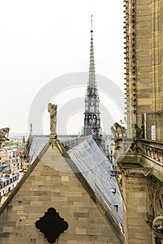 Notre Dame de Paris Cathedral in Paris