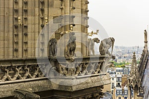 Notre Dame de Paris Cathedral in Paris