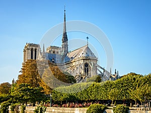 Notre-Dame de Paris cathedral by a sunny fall evening