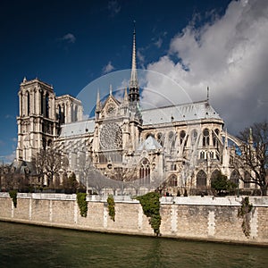 The Notre dame de Paris church