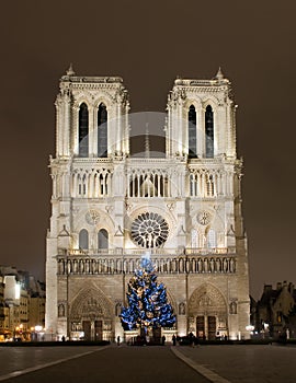 Dama París antes Navidad 