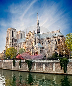 Notre dame de Paris - France