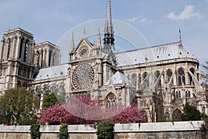 Notre Dame de Paris side