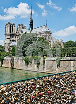 NOTRE DAME de Paris in Spring with Locks
