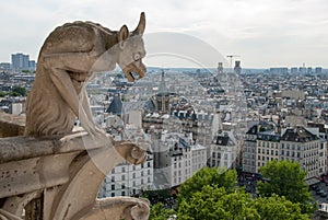 Notre Dame Demon Gargoyle