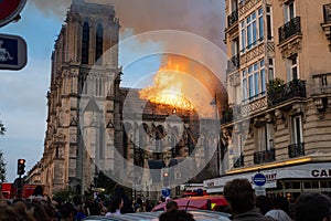 Notre Dame Fire