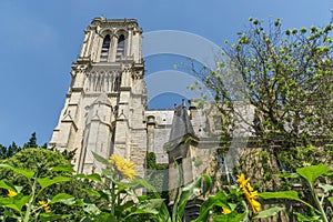 Notre Dame from Garden