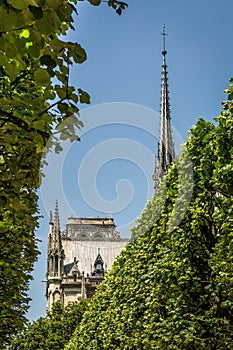Notre Dame from Garden