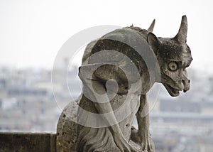 Notre Dame Gargoyle