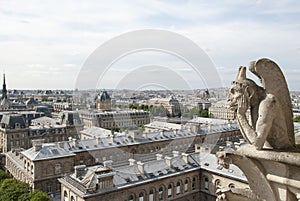 Notre Dame Gargoyle over Paris