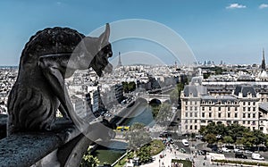 Gargoyle at Notre Dame