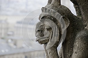 Notre Dame Gargoyle