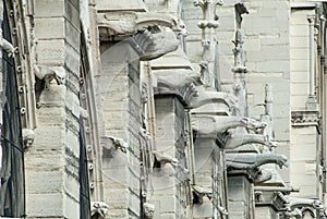 Notre Dame Gargoyles on a Wall