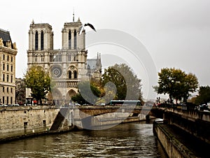 Notre Dame of Paris