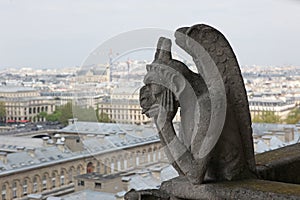 Notre Dame of Paris, Demon