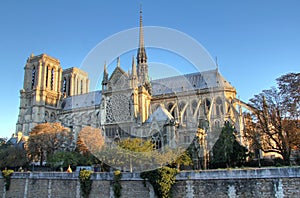 Notre Dame of Paris in first light