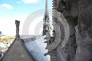 Notre Dame Paris France gargoyles