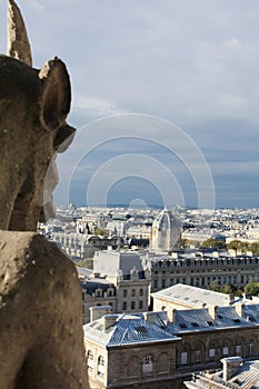 Notre Dame Paris France gargoyles
