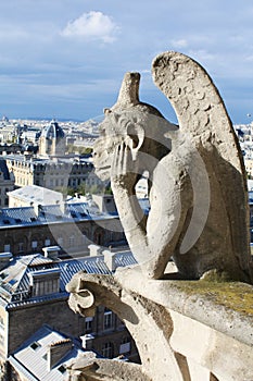 Notre Dame Paris France gargoyles