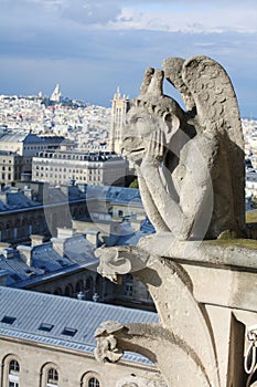 Notre Dame Paris France gargoyles