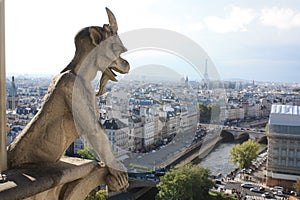 Notre Dame Paris France gargoyles.