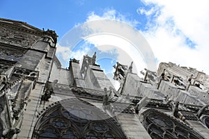 Notre Dame Paris with gargoyles cathedral in France.