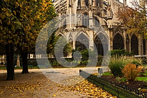 Notre Dame park autumn