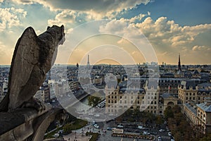 Notre-Dame`s gargoyle in Paris panorama
