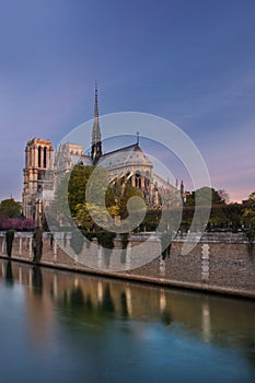 Notre Dame at Sunrise