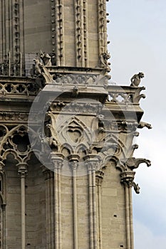 Notre Dame tower detail.