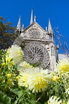 Notre Damme cathedral, Paris and flowers.