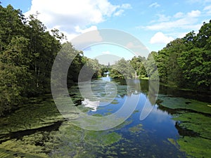 landscapes photography of Nottingham forest photo